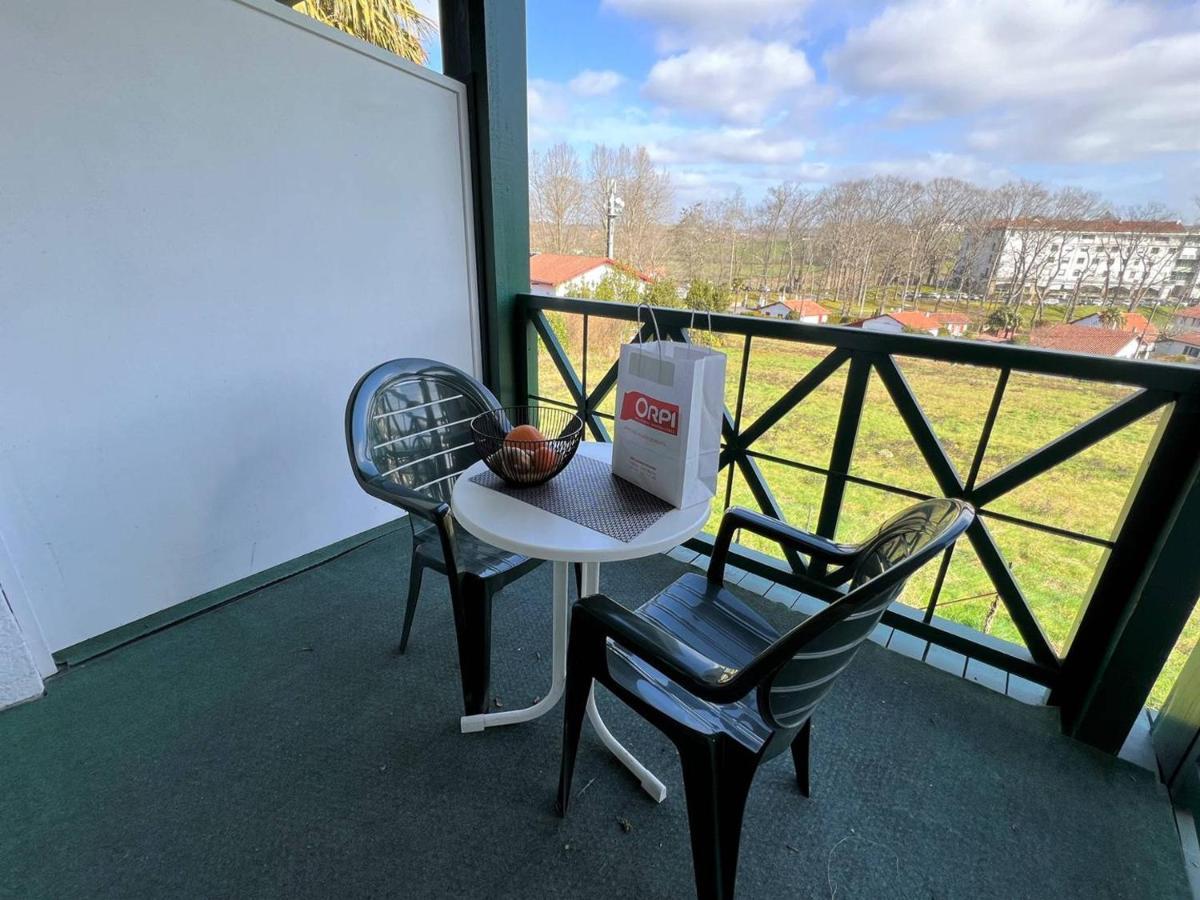 Studio Lilas A Cambo-Les-Bains : Terrasse, Parking, Proche Thermes, Internet, Animaux Acceptes - Fr-1-495-96 Exterior foto